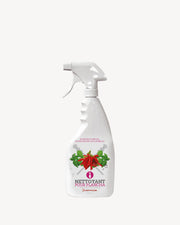 Reinigungsspray für Edelstahl-Grillrost