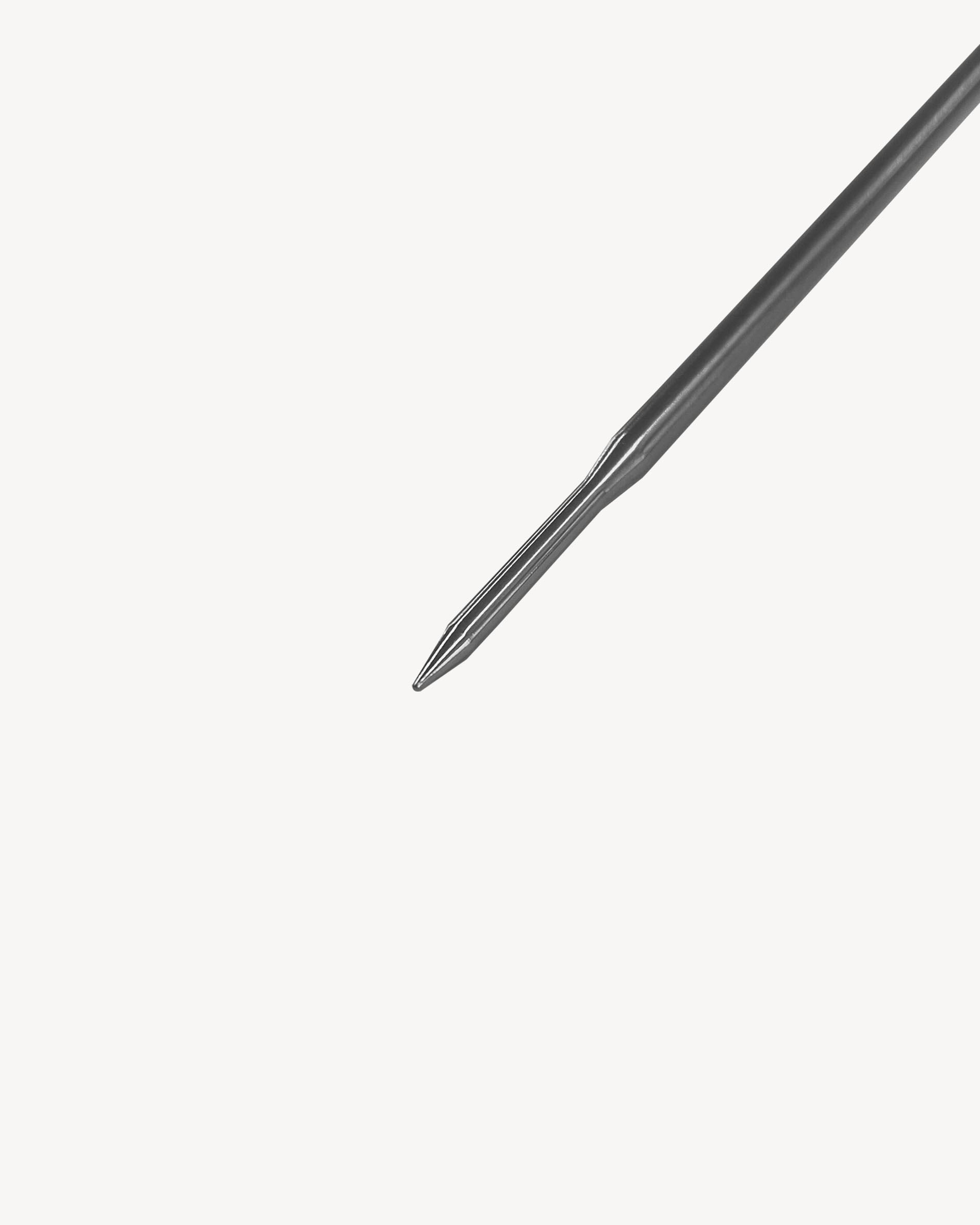 Thermometer mit Sonde