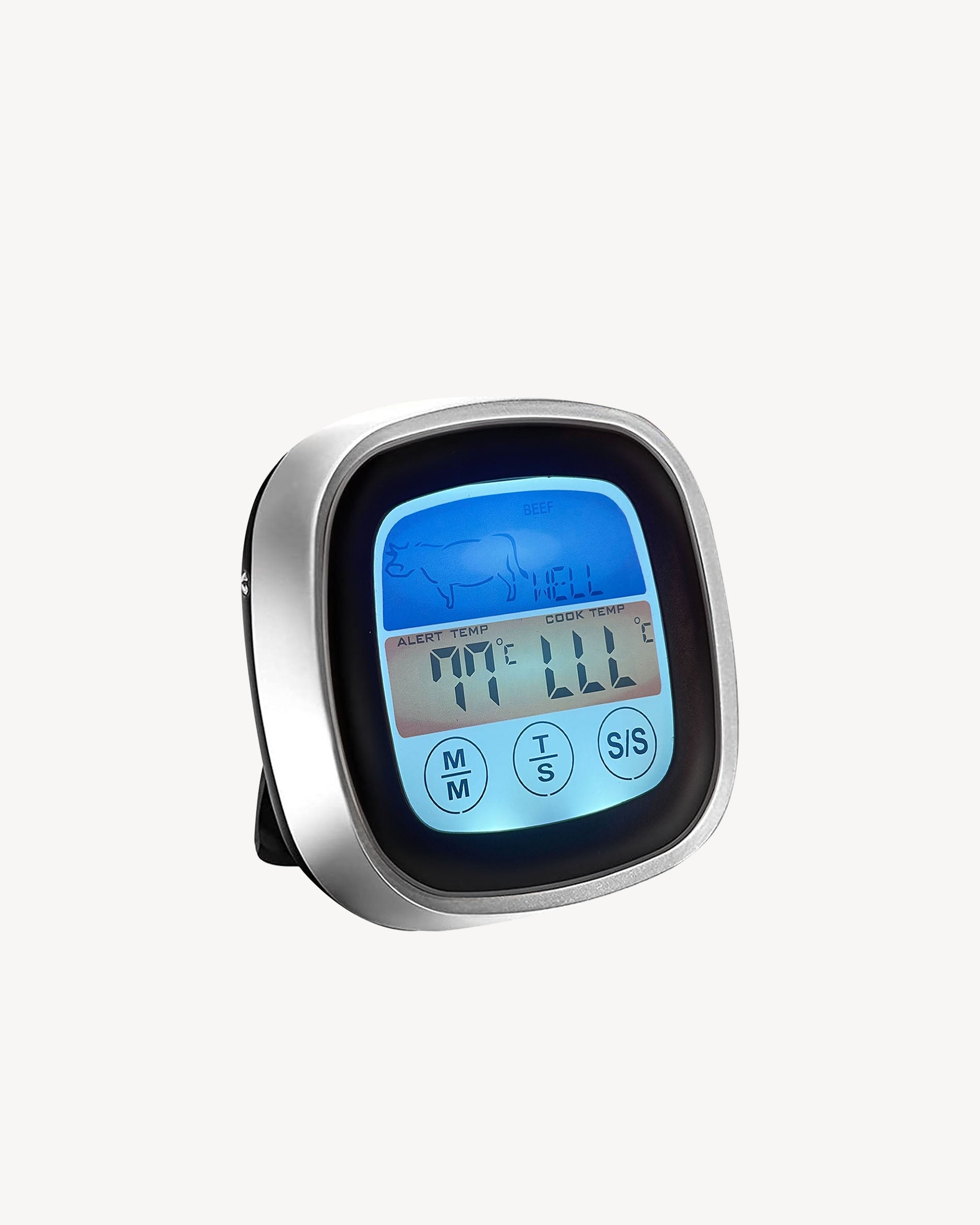 Thermometer mit Sonde